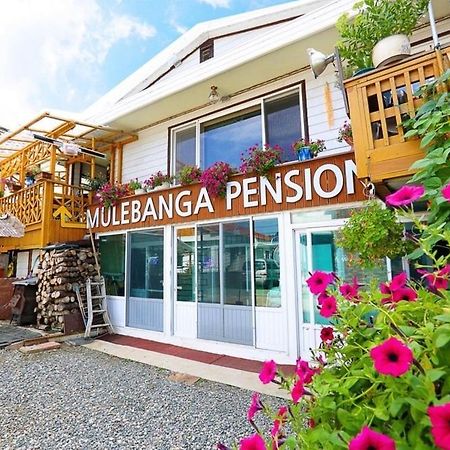 Osakae Anteo Mulraebang-A Pension Yangyang Bagian luar foto